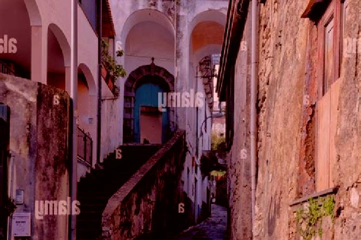 14 escort profiles in Bonea, Italy. Browse companions, services, rates and book online. Incall and outcall available.