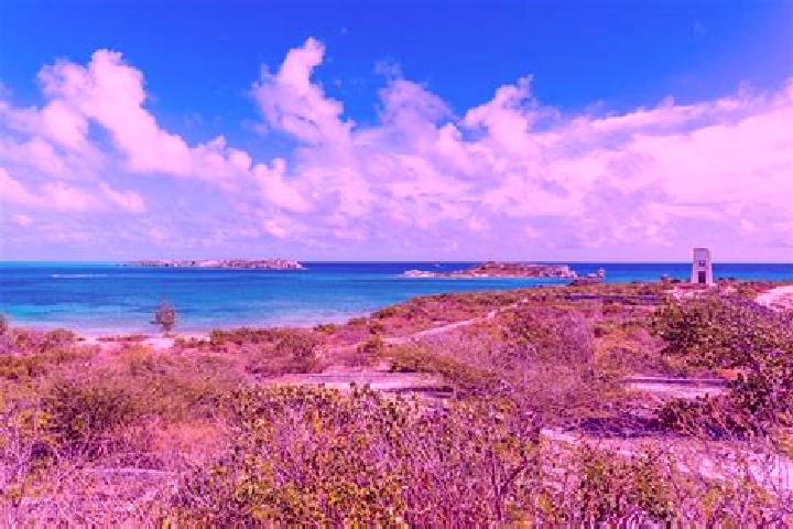 14 escort profiles in Cockburn Harbour, Turks and Caicos Islands. Browse companions, services, rates and book online. Incall and outcall available.