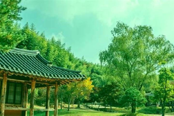 14 escort profiles in Damyang, South Korea. Browse companions, services, rates and book online. Incall and outcall available.