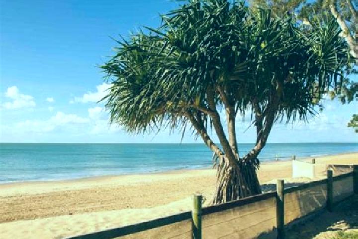 14 escort profiles in Dundowran Beach, Australia. Browse companions, services, rates and book online. Incall and outcall available.