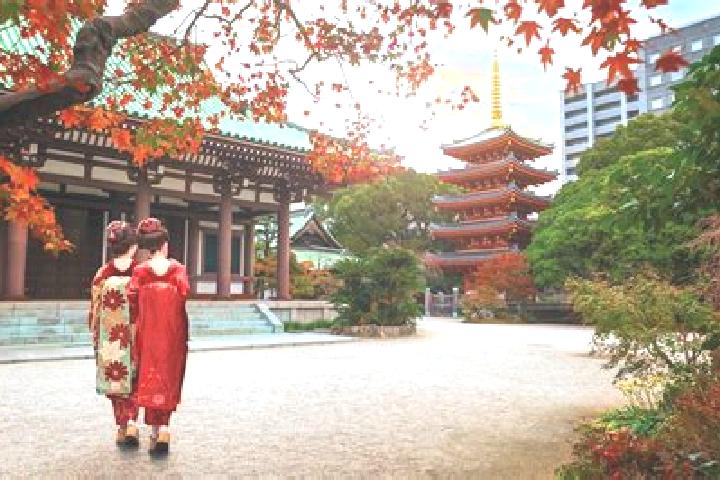 14 escort profiles in Fukaya, Japan. Browse companions, services, rates and book online. Incall and outcall available.