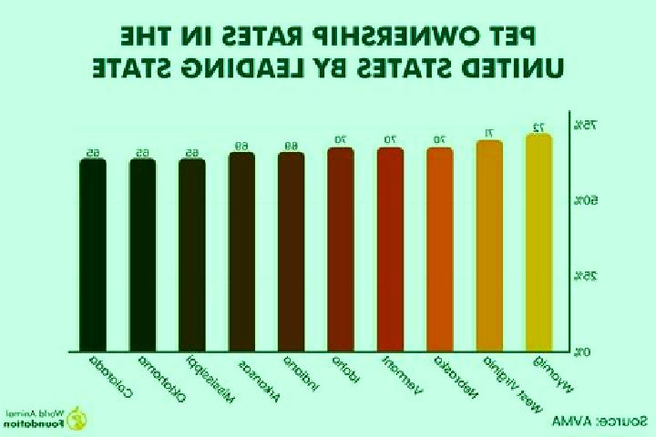 14 escort profiles in Joppatowne, United States. Browse companions, services, rates and book online. Incall and outcall available.