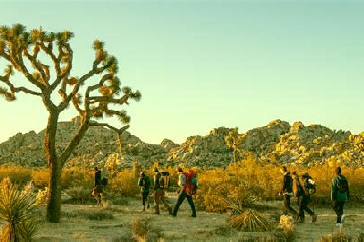 14 escort profiles in Joshua Tree, United States. Browse companions, services, rates and book online. Incall and outcall available.