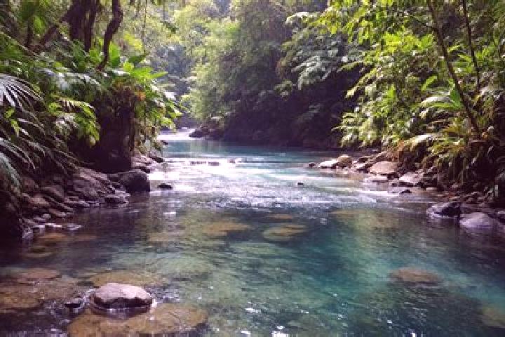 14 escort profiles in Los Rios, Dominican Republic. Browse companions, services, rates and book online. Incall and outcall available.