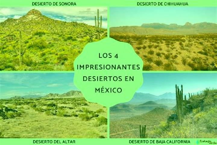 14 escort profiles in Mesa de los Leones, Mexico. Browse companions, services, rates and book online. Incall and outcall available.