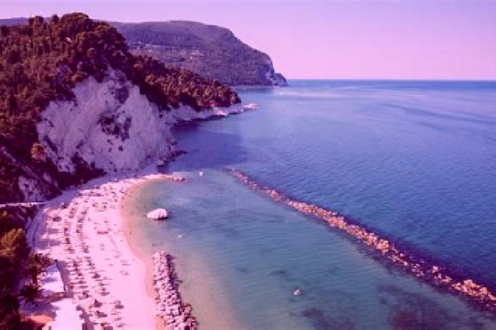 14 escort profiles in Monteprandone, Italy. Browse companions, services, rates and book online. Incall and outcall available.