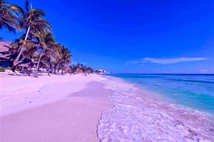 14 escort profiles in Playa del Carmen, Mexico. Browse companions, services, rates and book online. Incall and outcall available.