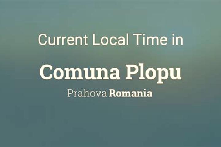14 escort profiles in Plopu, Romania. Browse companions, services, rates and book online. Incall and outcall available.