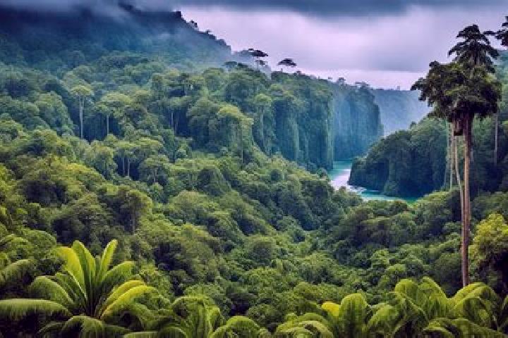 14 escort profiles in Rio Campo, Equatorial Guinea. Browse companions, services, rates and book online. Incall and outcall available.