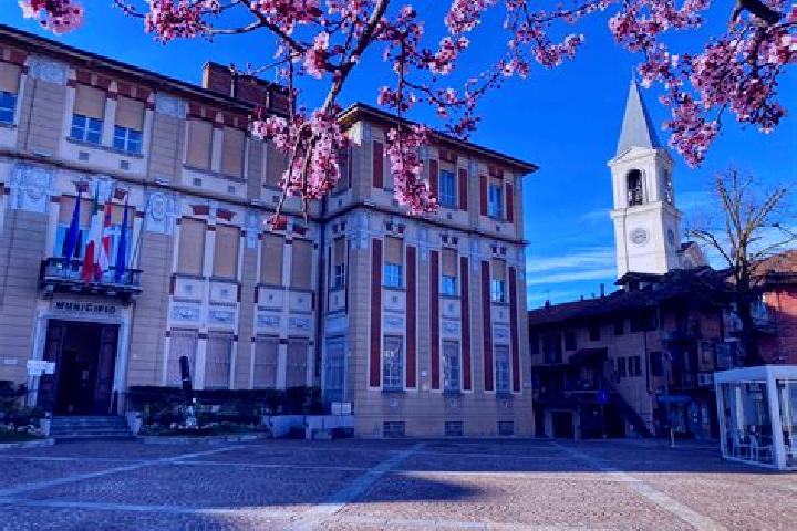 14 escort profiles in Settimo Torinese, Italy. Browse companions, services, rates and book online. Incall and outcall available.