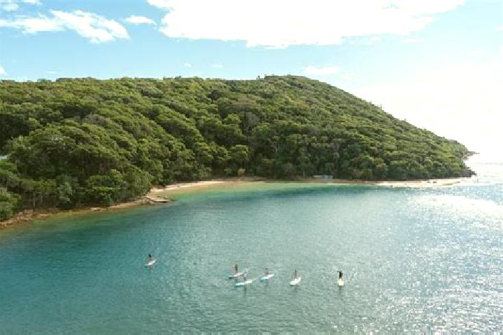 14 escort profiles in Tallebudgera, Australia. Browse companions, services, rates and book online. Incall and outcall available.