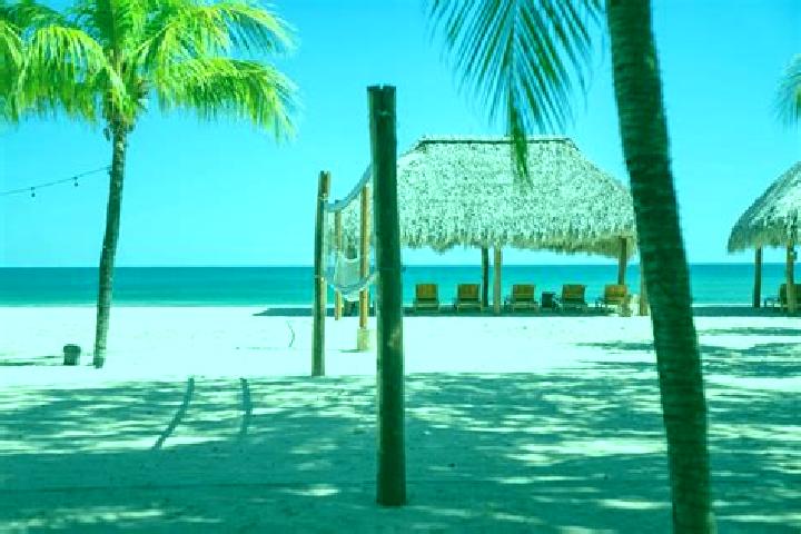 14 escort profiles in Tola, Nicaragua. Browse companions, services, rates and book online. Incall and outcall available.