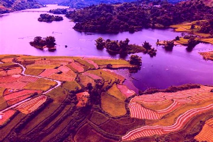 14 escort profiles in Tuyen Quang, Vietnam. Browse companions, services, rates and book online. Incall and outcall available.
