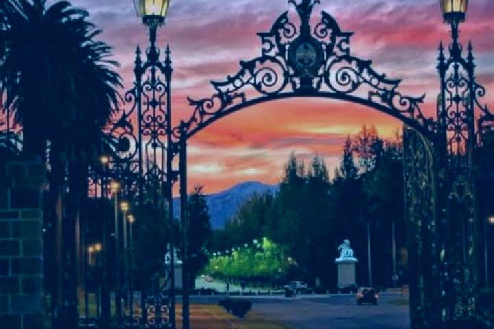 14 escort profiles in Villa General San Martin, Argentina. Browse companions, services, rates and book online. Incall and outcall available.