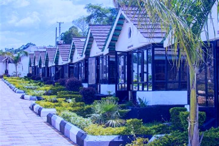 14 escort profiles in Webuye, Kenya. Browse companions, services, rates and book online. Incall and outcall available.