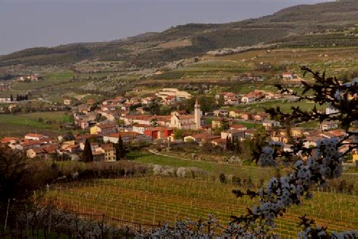 15 escort profiles in Cazzano di Tramigna, Italy. Browse companions, services, rates and book online. Incall and outcall available.