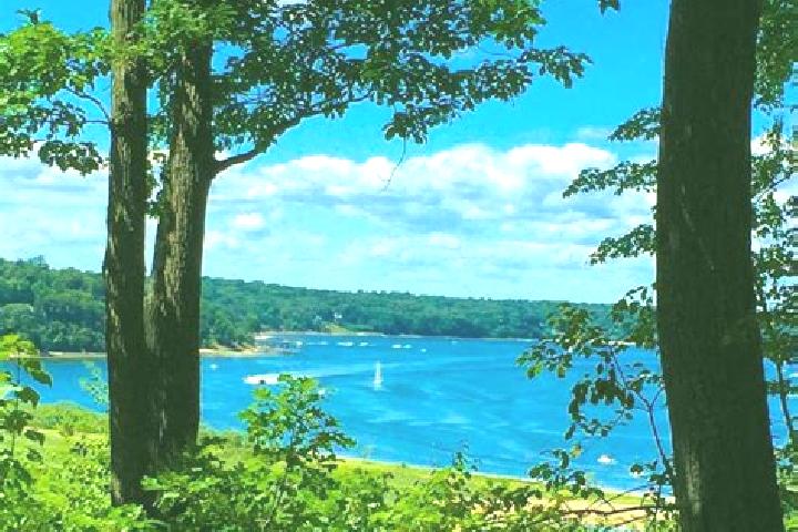15 escort profiles in Cold Spring Harbor, United States. Browse companions, services, rates and book online. Incall and outcall available.