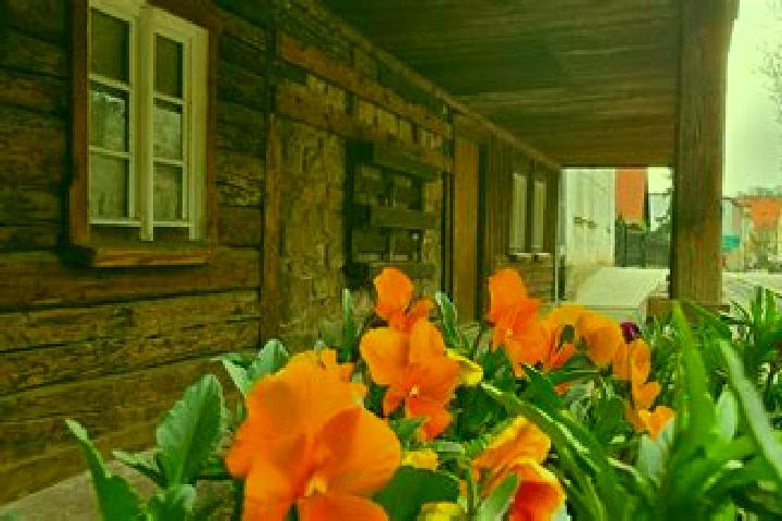 15 escort profiles in Czarny Bor, Poland. Browse companions, services, rates and book online. Incall and outcall available.