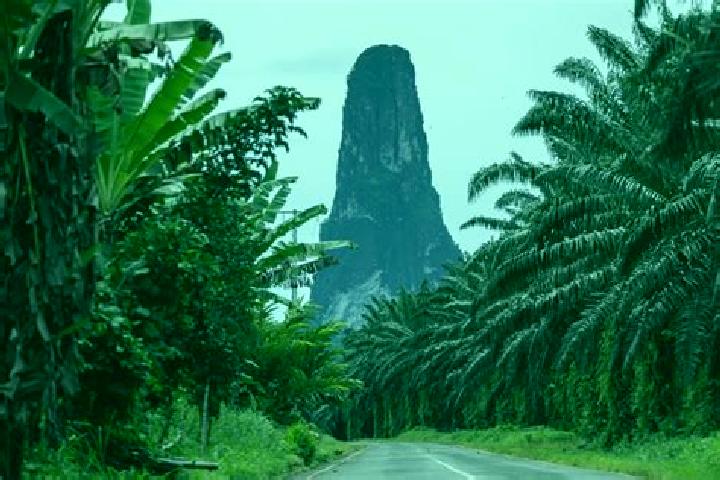 15 escort profiles in Diogo Vaz, Sao Tome and Principe. Browse companions, services, rates and book online. Incall and outcall available.