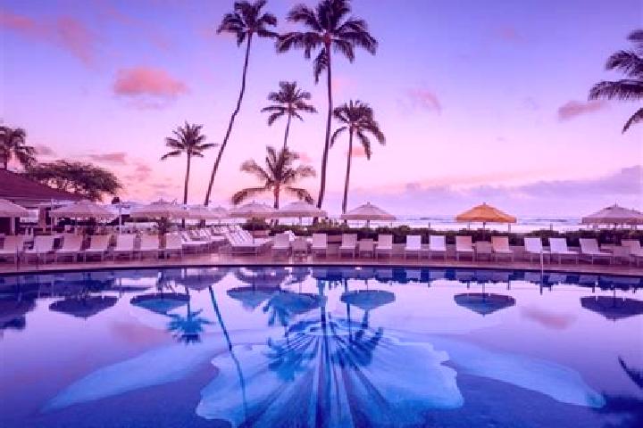 15 escort profiles in Halekulani, Australia. Browse companions, services, rates and book online. Incall and outcall available.