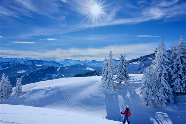 15 escort profiles in Ihrlerstein, Germany. Browse companions, services, rates and book online. Incall and outcall available.