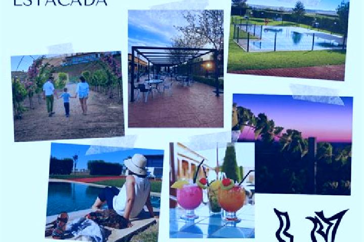15 escort profiles in La Estacada, Mexico. Browse companions, services, rates and book online. Incall and outcall available.