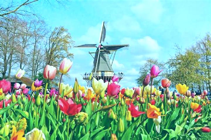 15 escort profiles in Lisse, Netherlands. Browse companions, services, rates and book online. Incall and outcall available.