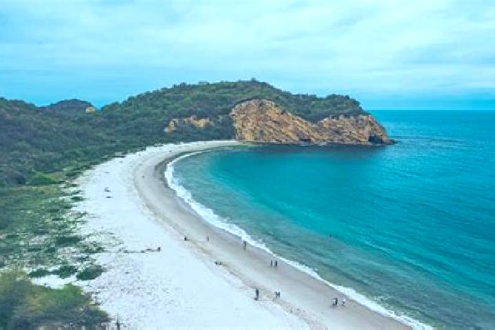 15 escort profiles in Los Frailes, Mexico. Browse companions, services, rates and book online. Incall and outcall available.