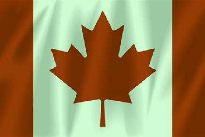 15 escort profiles in Maple Leaf, Canada. Browse companions, services, rates and book online. Incall and outcall available.