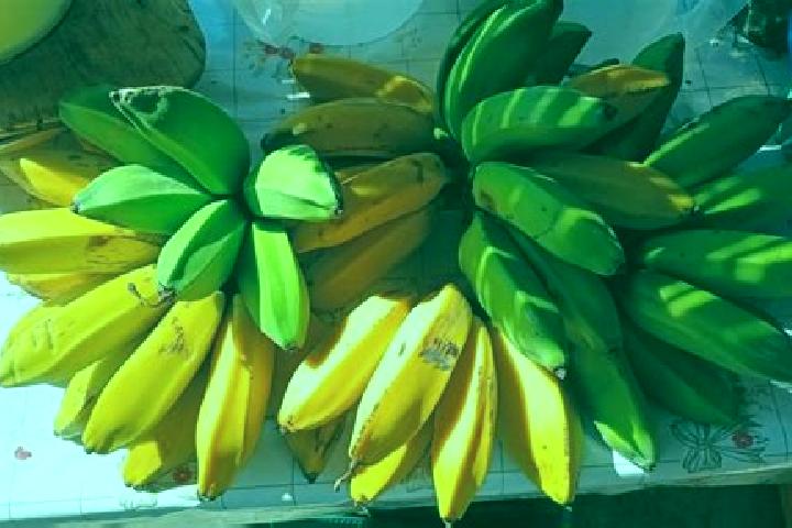15 escort profiles in Mata de Platano, Mexico. Browse companions, services, rates and book online. Incall and outcall available.