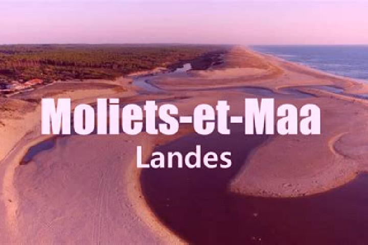15 escort profiles in Moliets-et-Maa, France. Browse companions, services, rates and book online. Incall and outcall available.