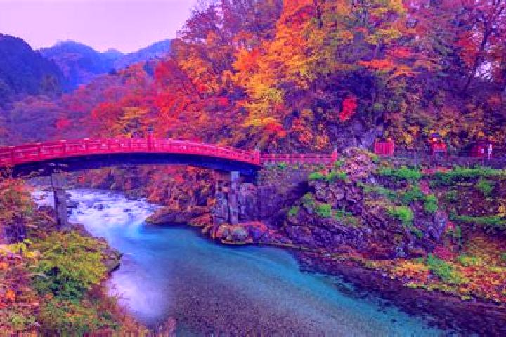 15 escort profiles in Nikko, Japan. Browse companions, services, rates and book online. Incall and outcall available.