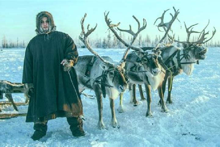 15 escort profiles in Oymyakon, Russia. Browse companions, services, rates and book online. Incall and outcall available.