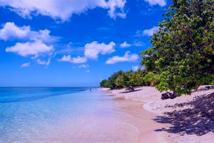 15 escort profiles in Pointe-a-Pitre, Guadeloupe. Browse companions, services, rates and book online. Incall and outcall available.
