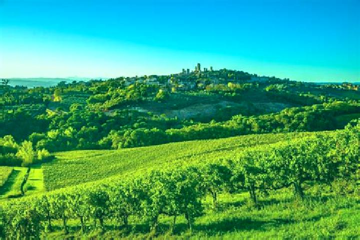 15 escort profiles in San Gimignano, Italy. Browse companions, services, rates and book online. Incall and outcall available.