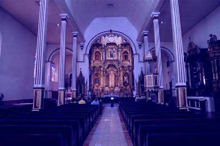 15 escort profiles in San Jose de Castellanos, Mexico. Browse companions, services, rates and book online. Incall and outcall available.