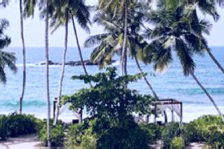 15 escort profiles in Tangalle, Sri Lanka. Browse companions, services, rates and book online. Incall and outcall available.