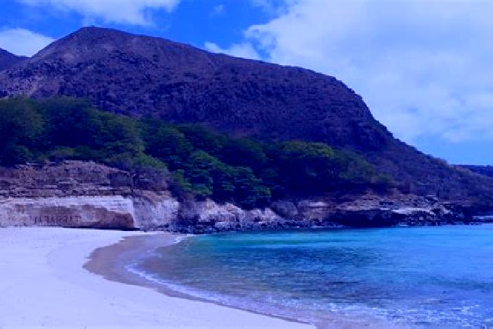 15 escort profiles in Tarrafal, Cape Verde. Browse companions, services, rates and book online. Incall and outcall available.