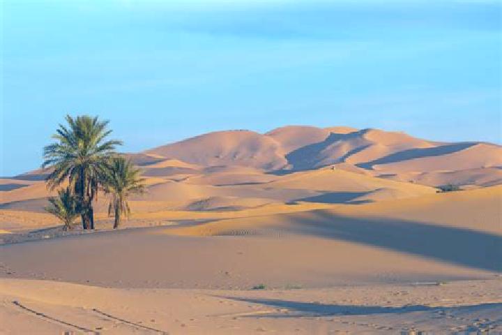 15 escort profiles in Tiouli, Morocco. Browse companions, services, rates and book online. Incall and outcall available.