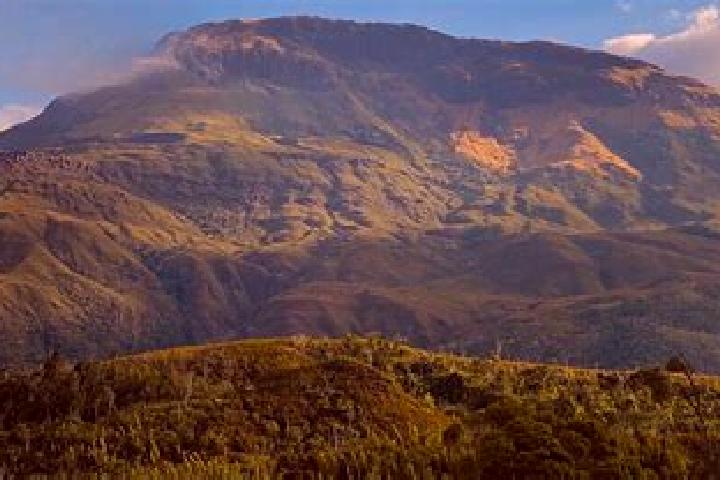 15 escort profiles in Tsaratanana, Madagascar. Browse companions, services, rates and book online. Incall and outcall available.