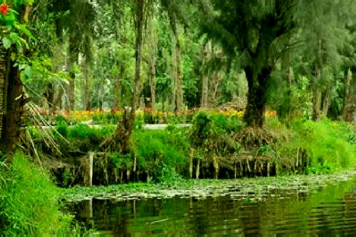 6 escort profiles in Chinampas, Mexico. Browse companions, services, rates and book online. Incall and outcall available.