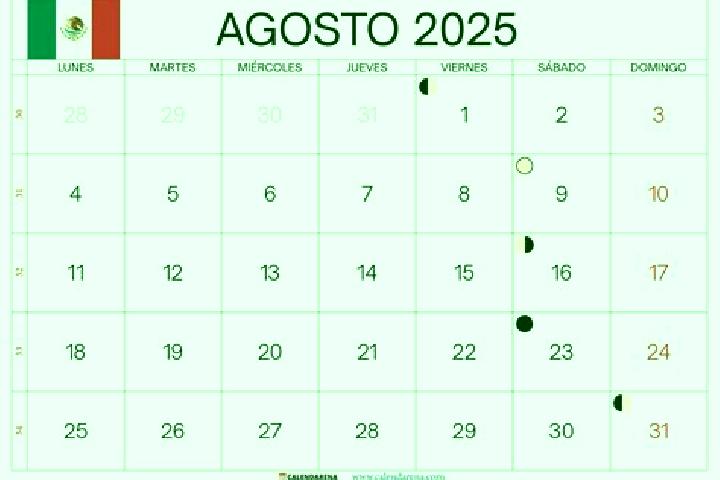6 escort profiles in Colonia 12 de Agosto, Mexico. Browse companions, services, rates and book online. Incall and outcall available.