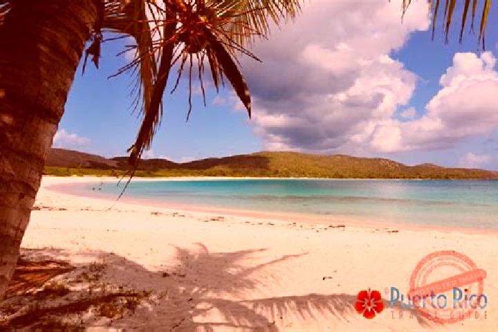 6 escort profiles in Culebra, Puerto Rico. Browse companions, services, rates and book online. Incall and outcall available.