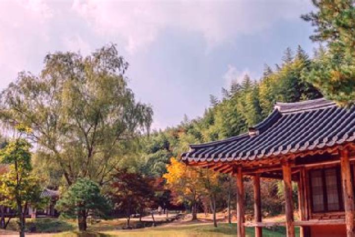 6 escort profiles in Damyang, South Korea. Browse companions, services, rates and book online. Incall and outcall available.