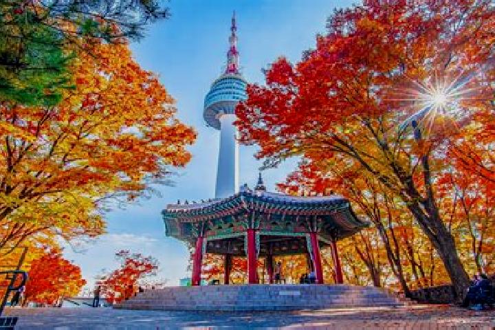 6 escort profiles in Hwanggan, South Korea. Browse companions, services, rates and book online. Incall and outcall available.
