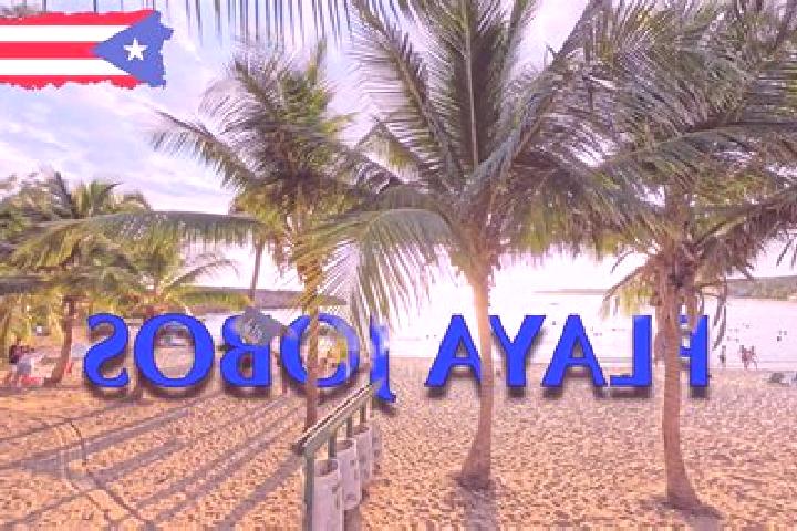 6 escort profiles in Jobos, Puerto Rico. Browse companions, services, rates and book online. Incall and outcall available.