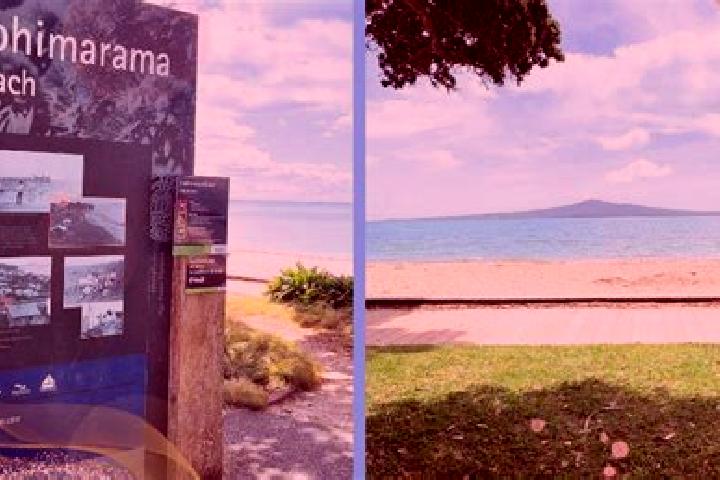 6 escort profiles in Kohimarama, New Zealand. Browse companions, services, rates and book online. Incall and outcall available.