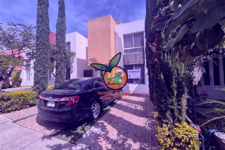 6 escort profiles in Lomas de Santa Anita, Mexico. Browse companions, services, rates and book online. Incall and outcall available.