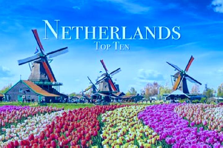 6 escort profiles in Lomm, Netherlands. Browse companions, services, rates and book online. Incall and outcall available.