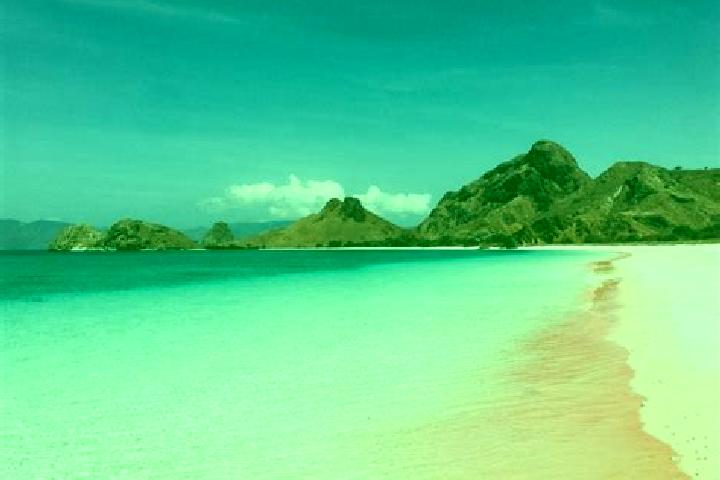 6 escort profiles in Maumere, Indonesia. Browse companions, services, rates and book online. Incall and outcall available.